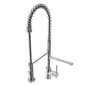 Maggiore 2.0 Single Handle Pull Down Sprayer Kitchen Faucet in Polished Chrome