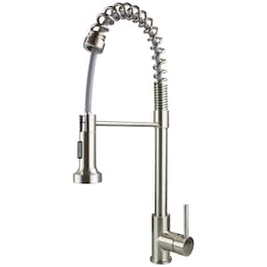 Cuisine Pro Single-Handle Pull-Out Sprayer Kitchen Faucet in Luxe Stainless