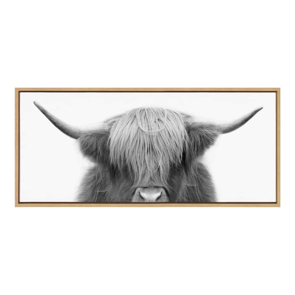 Hey Dude Highland Cow by The Creative Bunch Studio Framed Animal Canvas Wall Art Print 18.00 in. x 40.00 in. . price history on PriceWatchPro