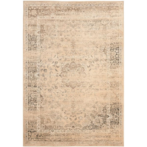 Vintage Warm Beige 8 ft. x 10 ft. Distressed Floral Border Area Rug
