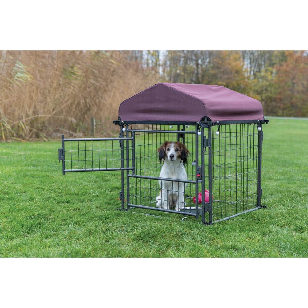 Small Hammerstone Steel Outdoor Dog Kennel with Cover