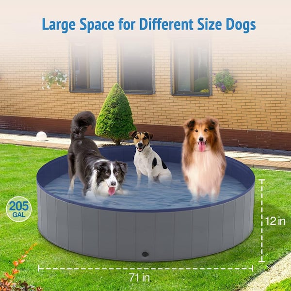 Hard Plastic Kiddie Best Kiddie Pool For Dogs FAWEY TRED INC 71 X