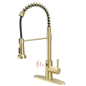 Single-Handle Pull Down Sprayer Kitchen Faucet in Brushed Gold