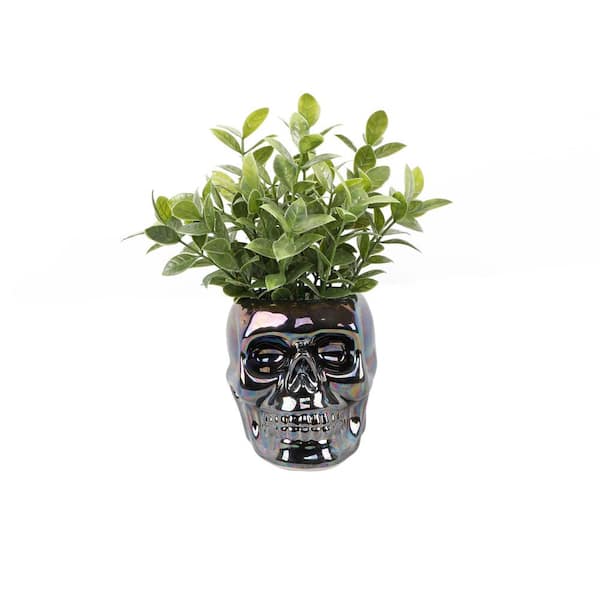 Flora Bunda 8.5 in. H Fake Tealeaf in Metallic Black Skull Ceramic