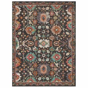 Norwood Multi 7 ft. 10 in. x 10 ft. Area Rug