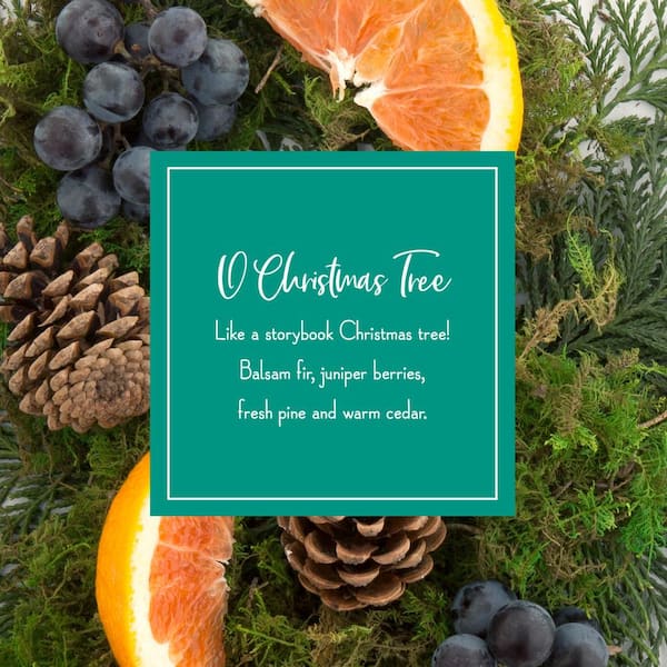 ScentSicles Scented Ornaments, 6ct Bottle, O Christmas Tree