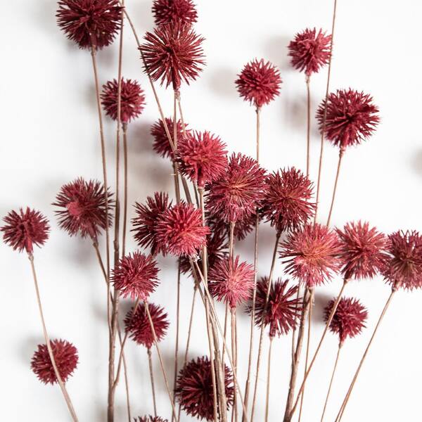 Dried Boho Flower Bouquet made out of Ornamental Grass & Blue Globe Thistles