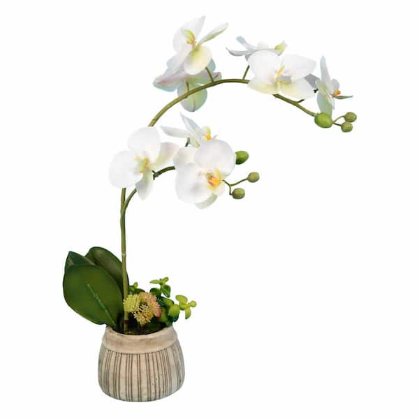 Vickerman 18 in Artificial White Orchid in Ceramic Pot.
