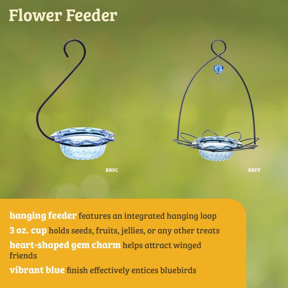 Blue Hanging Metal and Plastic Bird Feeder with Acrylic Cup
