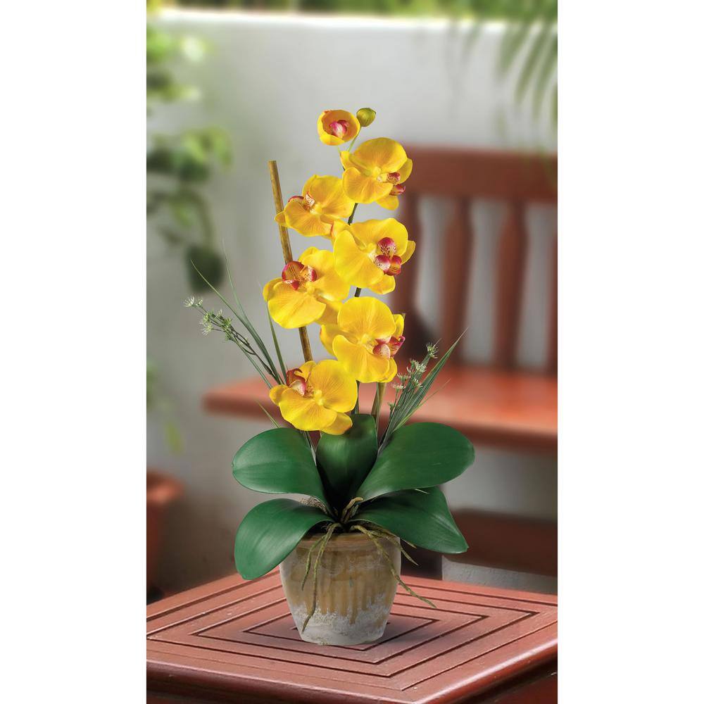 Yellow Phalaenopsis Silk Orchid in Ceramic Pot, 21" Tall