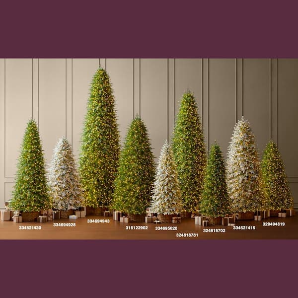 Home Decorators Collection 9 ft. Grand Duchess Twinkling Balsam