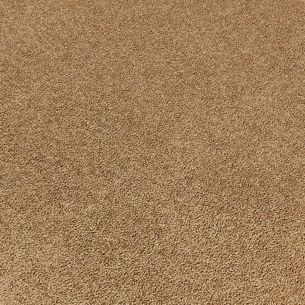 Home Decorators Collection Tailored Trends III Refined Brown 15 ft
