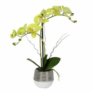 19.5 in. Artificial Green Phalaenopsis Orchid Floral Arrangement In Pot