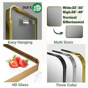 55 in. W x 30 in. H Rectangular Aluminum Framed Modern Gold Rounded Wall Mirror