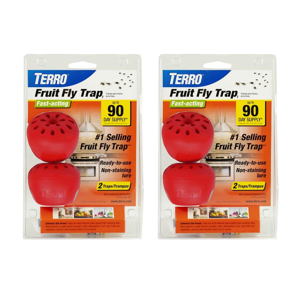 TERRO Fruit Fly Indoor Insect Trap (2-Pack)