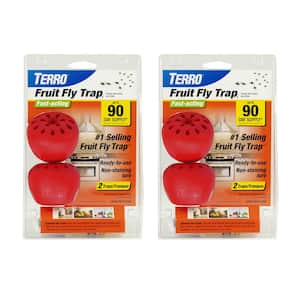 TERRO Fruit Fly Trap with Bait (2-Pack) T2503SR - The Home Depot
