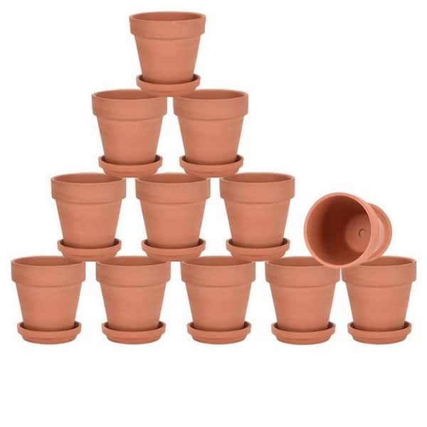 venus fly trap pot plant Venus Fly Trap – The Old Yew Plant Shop