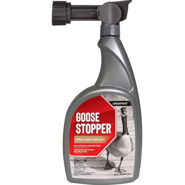 ANIMAL STOPPER Goose Stopper Animal Repellent, 32 oz. Ready-to-Spray Hose End