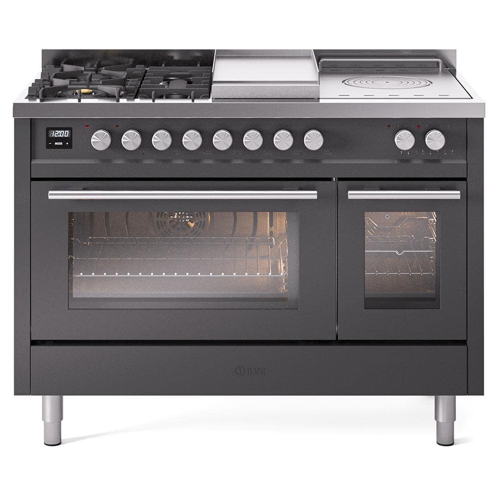 Profesional Plus II 48 in. 5 Burner Dual Fuel Natural Gas Range in Graphite Matte price history on PriceWatchPro