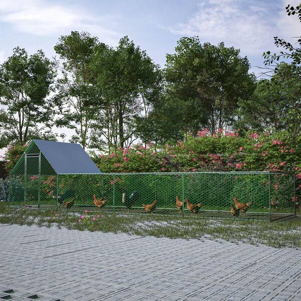 Cisvio 26 ft. L x 6. 7 ft. W x 6. 6 ft. Large Metal Coop