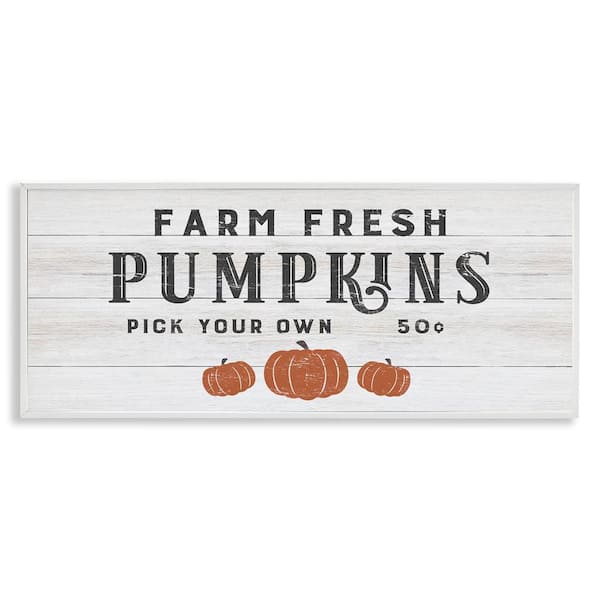 Stupell Industries Farm Fresh Pumpkins Country Sign by CAD Designs White Framed Graphic Typography Art Print 13 in. x 30 in.