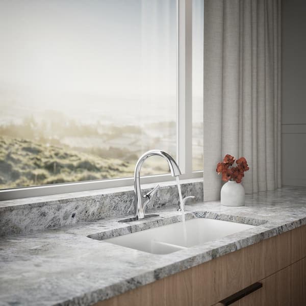 KOHLER Avi Single-Handle Pull Out Sprayer Kitchen Faucet in