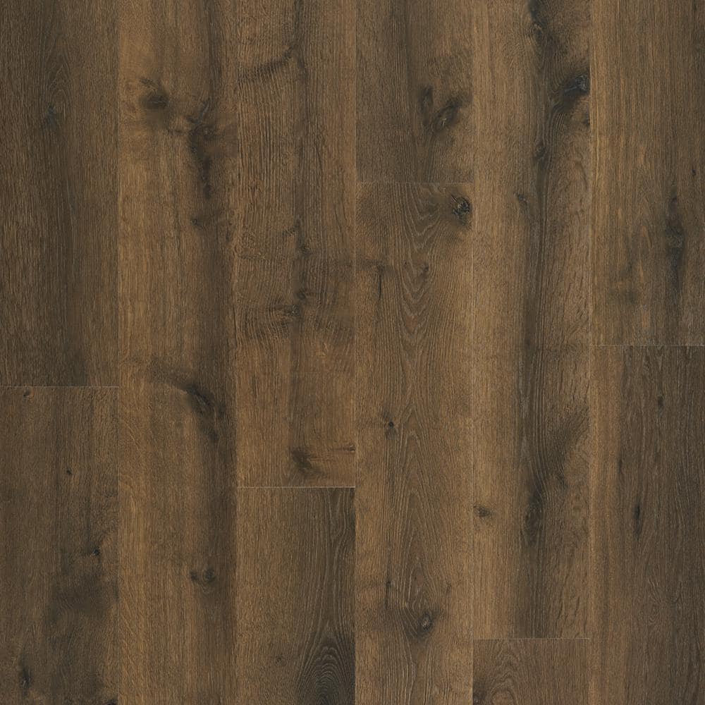 Pergo Take Home Sample - 5 in. x 7 in. Elyssa Oak Waterproof Antimicrobial-Protected Laminate Wood Flooring, Dark
