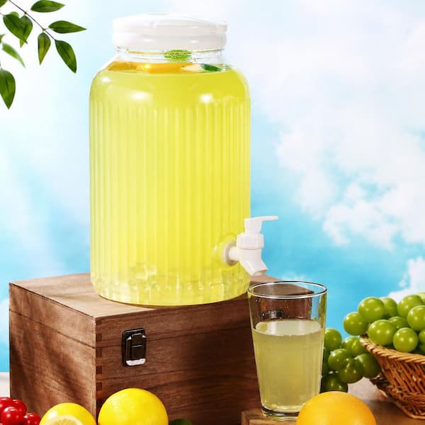 2-Pack 1 Gallon Clear Plastic Beverage Dispensers with Spigot and Lid Striped Print 10.6 x 6.5 in. Pieces