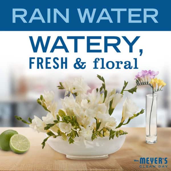 8 fl. oz. Room Freshener Rain Water Air Freshener Spray