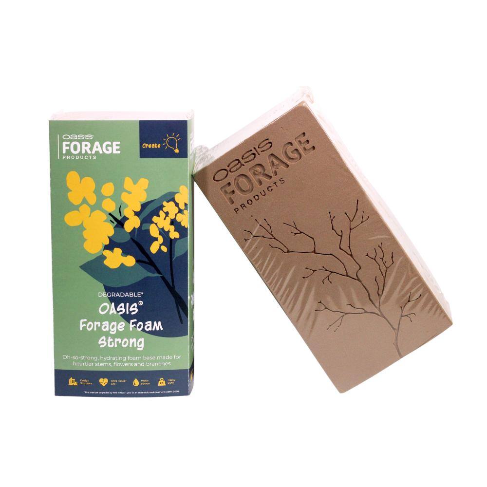 Oasis Oasis Forage Foam Strong 2/pack 10-31222 - The Home Depot