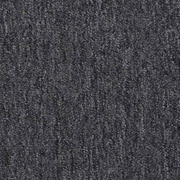 TrafficMaster 8 in. x 8 in. Loop Carpet Sample - Viking - Color Stingray