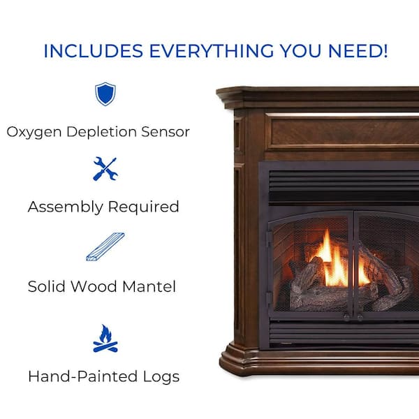 Ashley Liquid Propane GAS 1,500 Sq. ft. Vent-Free Painted Black Stove