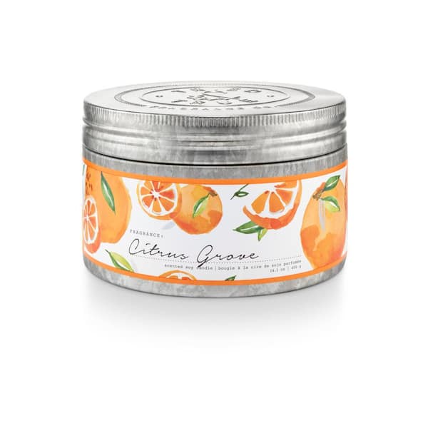 14.1 fl. oz. Citrus Grove Large Tin Scented Candle 1-Pack