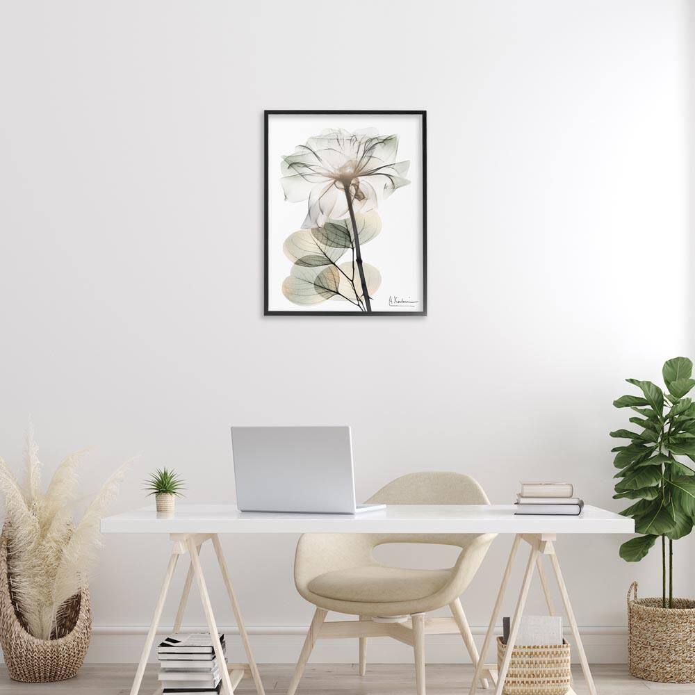 Modern Minimalist Buds by Albert Koetsier Black Framed Nature Giclee Art Print 30 in. x 24 in. price history on PriceWatchPro