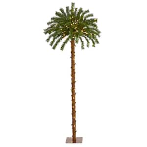 5 ft. Pre-lit Christmas Palm Artificial Tree with 150 Warm White LED Lights