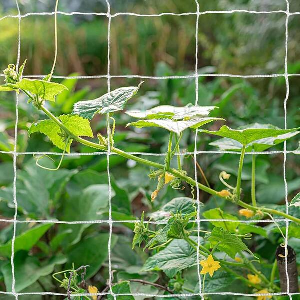 SenQWFa 60 Inch Polyester Heavy-Duty Mesh Trellis Netting