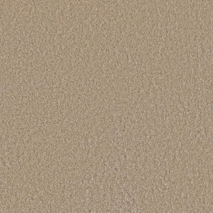 Blissful II - Merry Beige - 60 oz. SD Polyester Texture Installed Carpet
