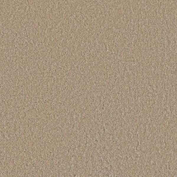 Lifeproof Blissful II - Merry Beige - 60 oz. SD Polyester Texture Installed Carpet