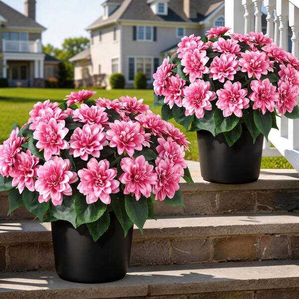 2 Pack 16 in. Pink Outdoor Artificial Dahlia Flower in Black Pot
