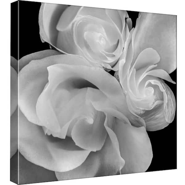 PTM Images 15 in. x 15 in. ''Rose Bloom'' Printed Canvas Wall Art