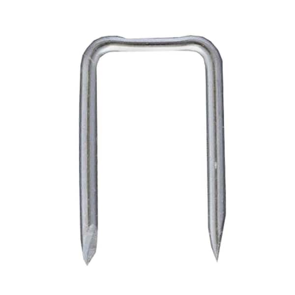 Briscon 1 in. x 1/2 in. Zinc-Plated Steel Staples (100-Pack)