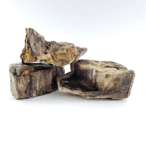 Petrified Canyon Decorative Stone Large Size 6 in. to 10 in. 44 lbs Box approx 2 cu. ft.