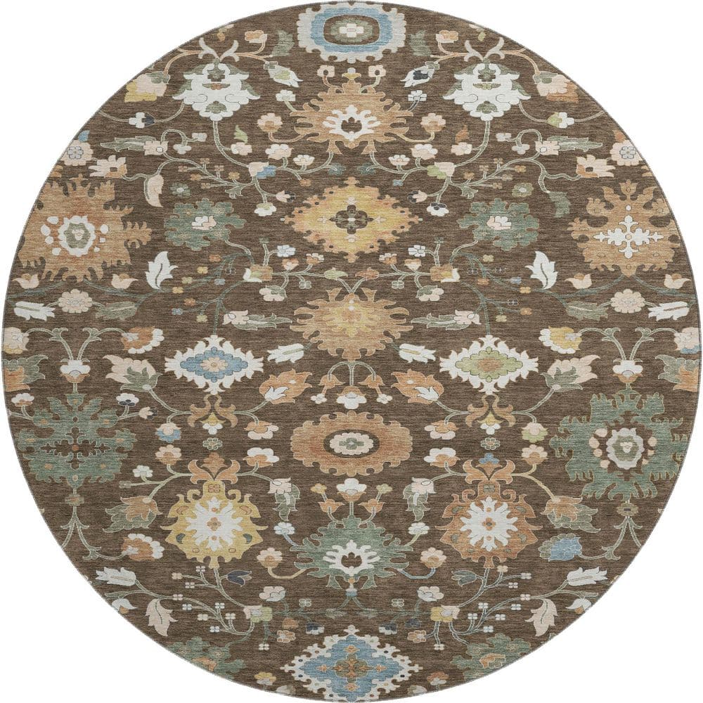 Mayfield Premium Machine Washable Abstract AMF2458 Chocolate 8 ft. x 8 ft. Round Rug price history on PriceWatchPro