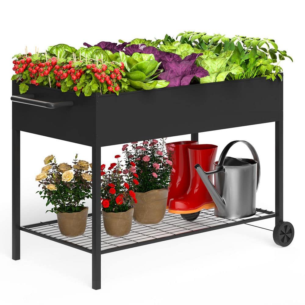 50 in. x 26 in. x 31 in. Metal Raised Garden Bed Outdoors with Wheels and Shelf for Mobility, 467 lbs. Capacity Black price history on PriceWatchPro