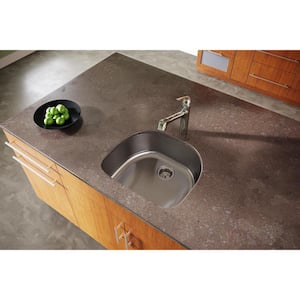 Dayton Undermount Stainless Steel 24 in. Single Bowl Kitchen Sink