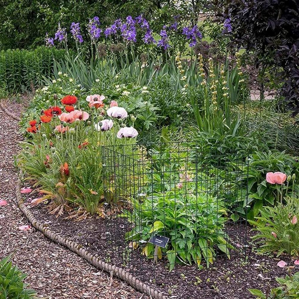 12" Black Metal Mesh Plant Protection Cages, Set of 10