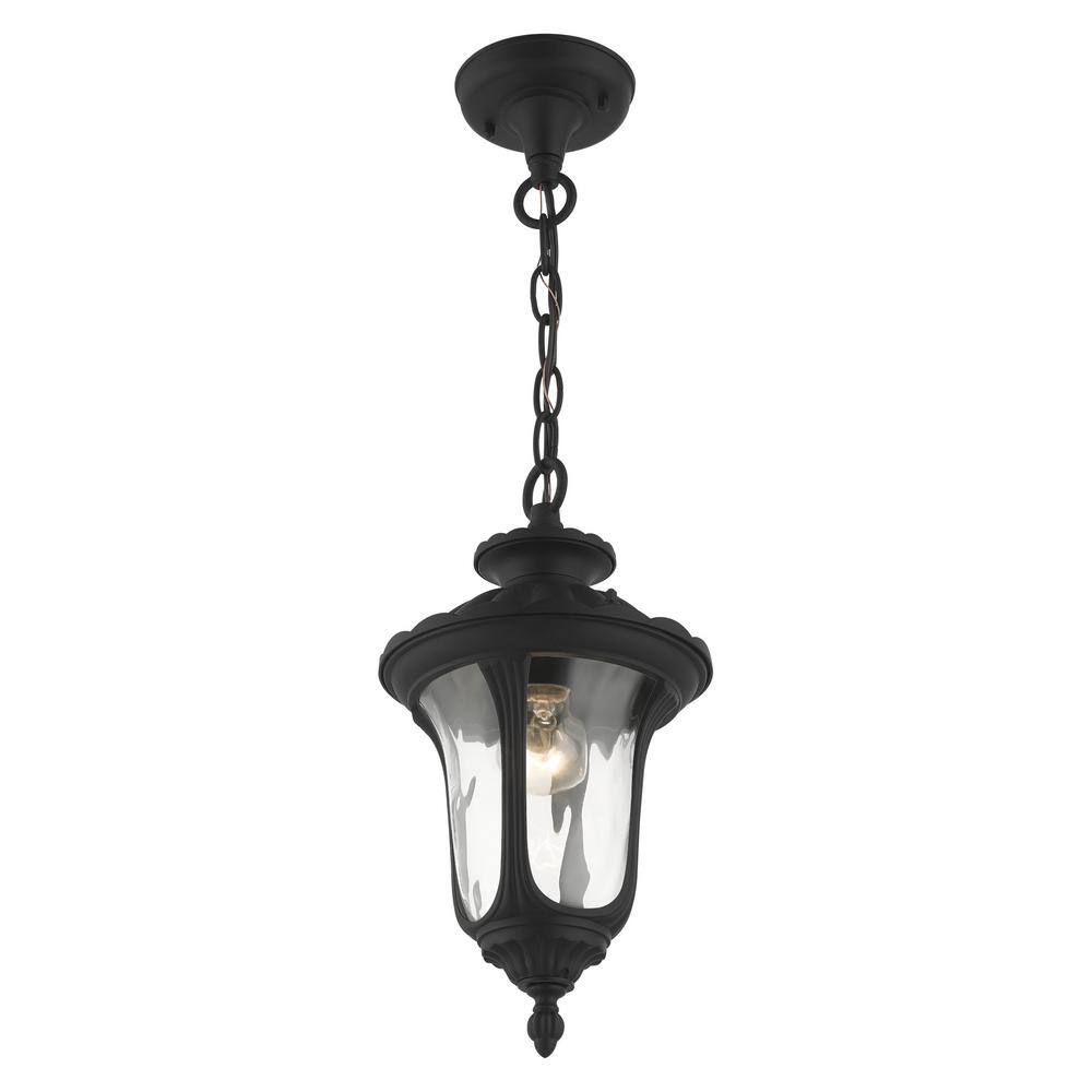 Oxford Textured Black Hand Blown Glass 1-Light Outdoor Pendant