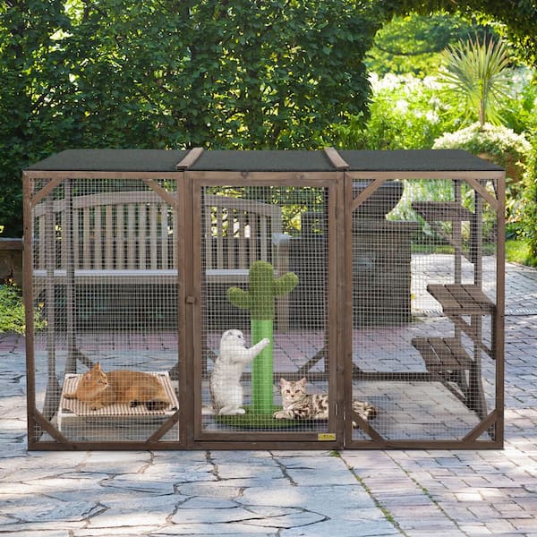 Collapsible Catio | seeds.yonsei.ac.kr