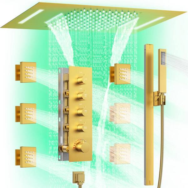 EVERSTEIN 1Spray Dual Shower Head Ceiling Mount and Handheld Shower 2.