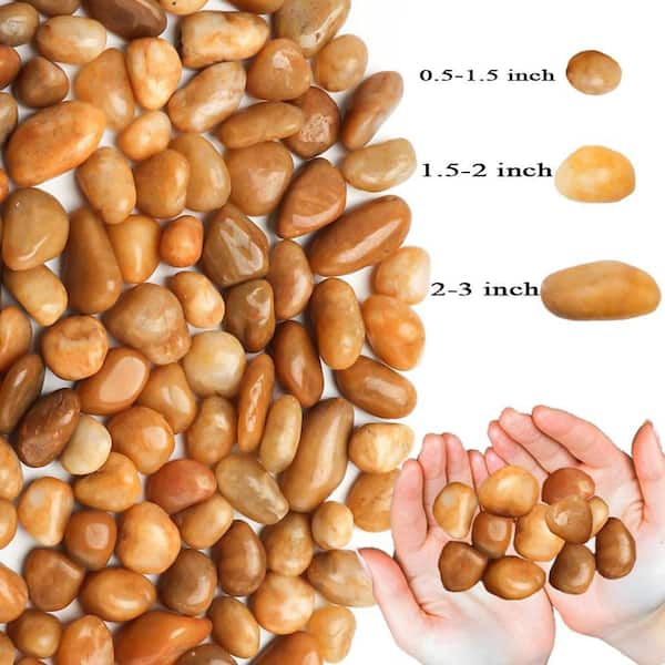 Ashman Online Ashman Stones 2-3 in. Golden River Rock Solar 10 lbs.-Pack for Garden, Pathway Decor, Aquarium and Water fountains